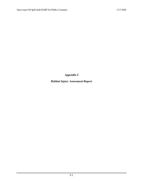 Thumbnail for Appendix J: Comprehensive Study Notes Overview