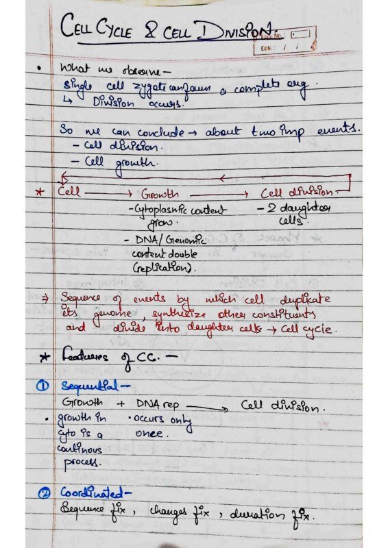 Thumbnail for Cell Cycle and Cell Dvision