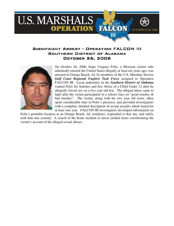 Thumbnail for FALCON 15 Study Notes by Inigo Varguez Felix