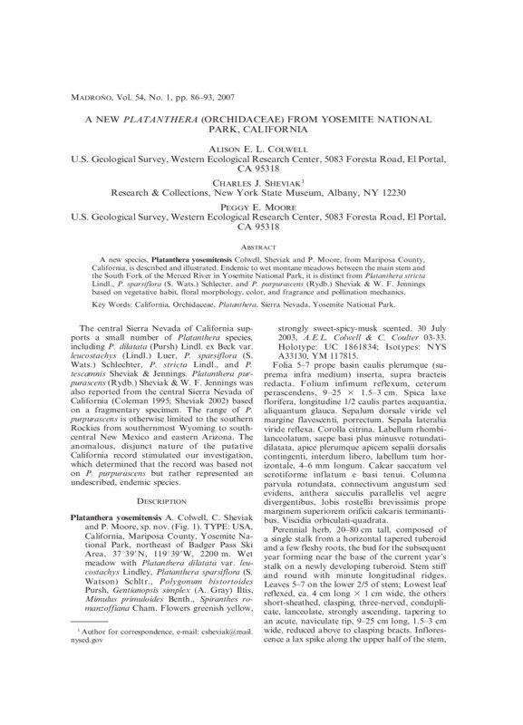 Thumbnail for New Orchid Species of Platanthera from Yosemite National Park