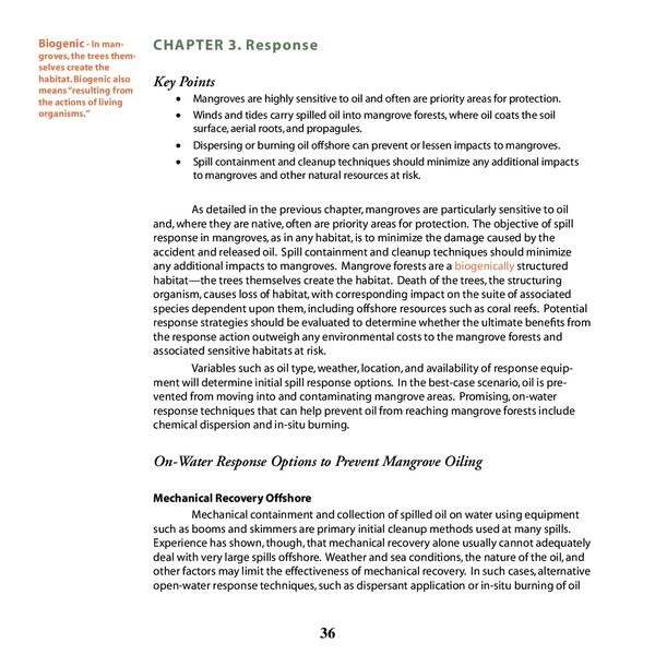 Thumbnail for Understanding the Impact of Oil Spills in Mangrove Ecosystems