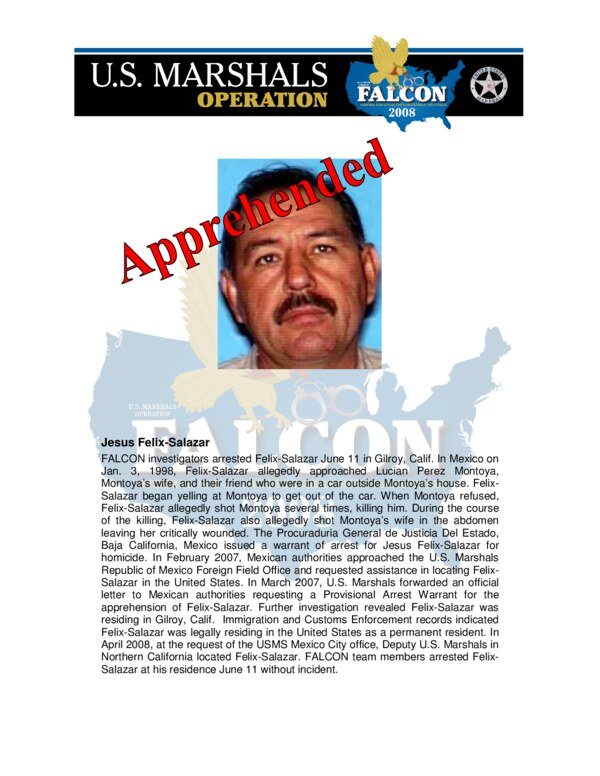 Thumbnail for U.S. Marshals Service FALCON Overview 2008