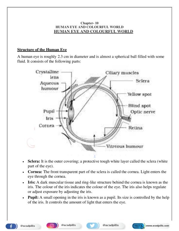 Thumbnail for Chapter 10: The Human Eye and the Colourful World – Important Questions PDF