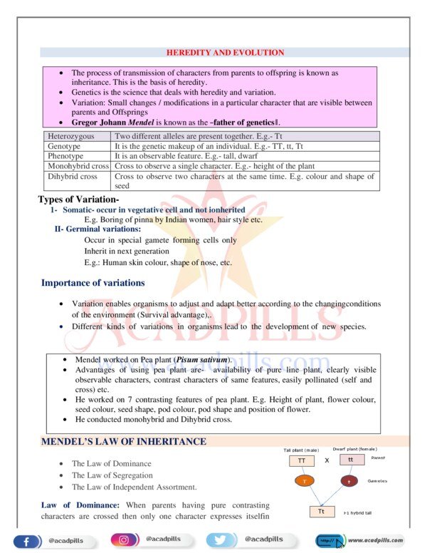 Thumbnail for Chapter 8: Heredity and Evolution – Important Questions PDF
