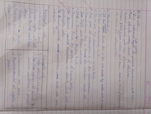 Thumbnail for Class 9th cbse science chapter The fundamental unit of life