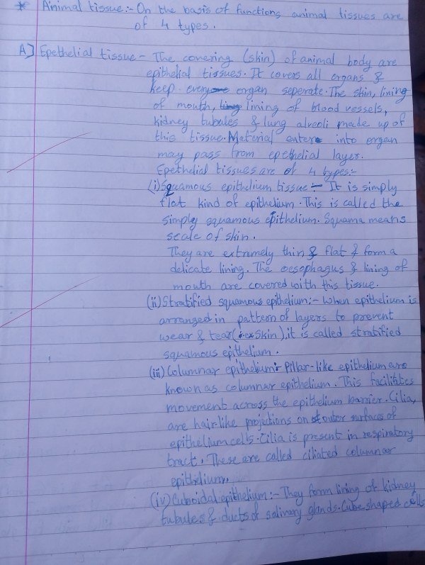 Thumbnail for Class 9th cbse science chapter Tissue