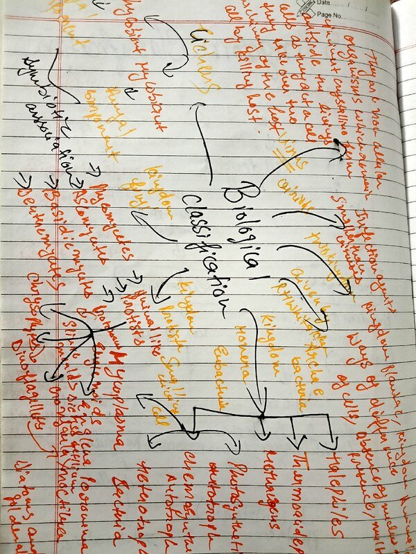 Thumbnail for Prepare