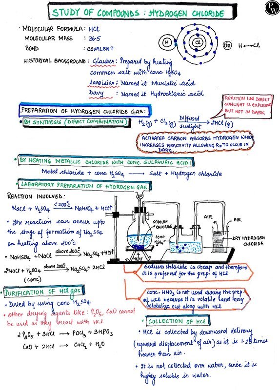 Thumbnail for Class 10 Chemistry Notes: Study of Compounds (HCl, NH₃, HNO₃ etc.) | ICSE
