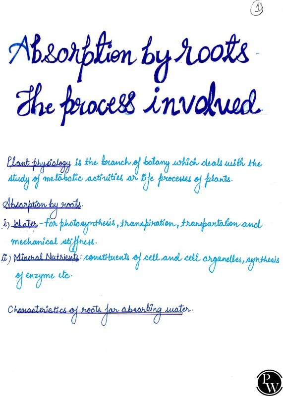 Thumbnail for Class 10 ICSE Biology Notes: Absorption by Roots