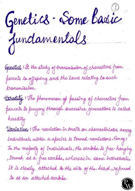 Thumbnail for Class 10 ICSE Biology Notes: Genetics (Basic Fundamentals)
