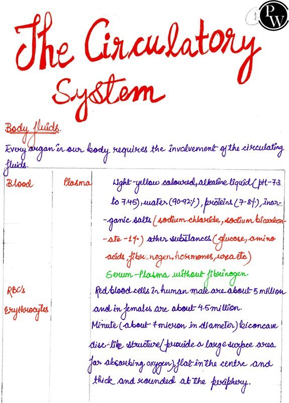 Thumbnail for Class 10 ICSE Biology Notes: The Circulatory System