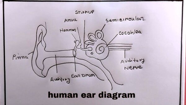 Thumbnail for Diagrams