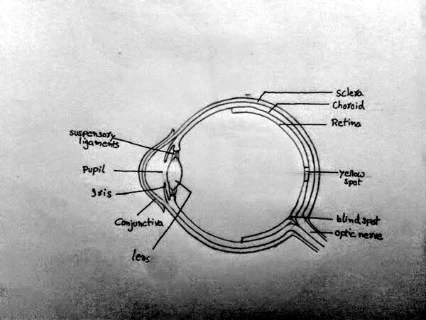 Thumbnail for Eye diagram