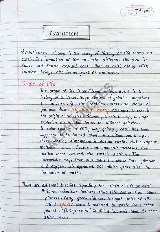 Thumbnail for Hand written notes for biology topic Evolution