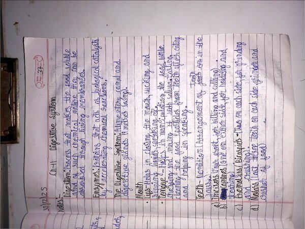 Thumbnail for ICSE CLASS-9 Biology Notes : Digestive System