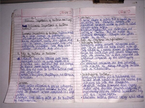 Thumbnail for ICSE CLASS-9 Biology Notes : Economic Importance of Bacteria and Fungi