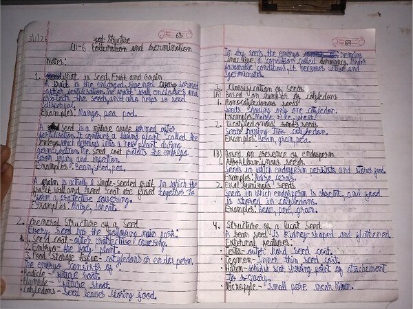 Thumbnail for ICSE CLASS-9 Biology Notes : Seed Structure and Germination