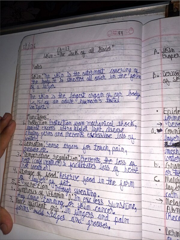 Thumbnail for ICSE CLASS-9 Biology Notes : Skin