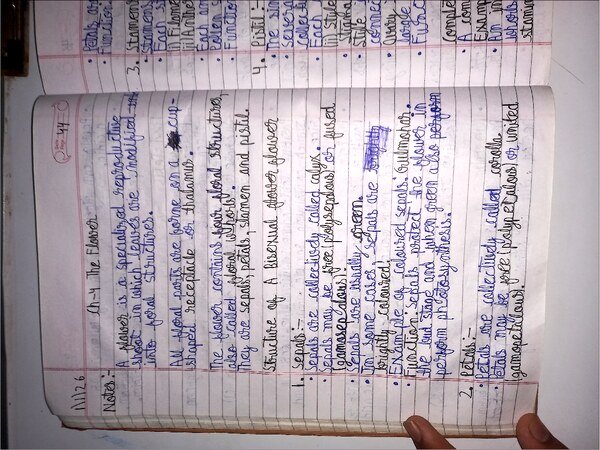 Thumbnail for ICSE CLASS-9 Biology Notes : The Flower