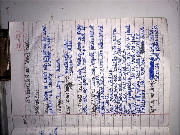 Thumbnail for ICSE CLASS-9 Biology Notes : Tissues