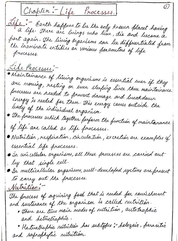 Thumbnail for Life processes notes 🧬