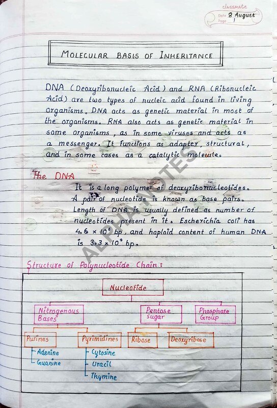 Thumbnail for Molecular basis NEET notes