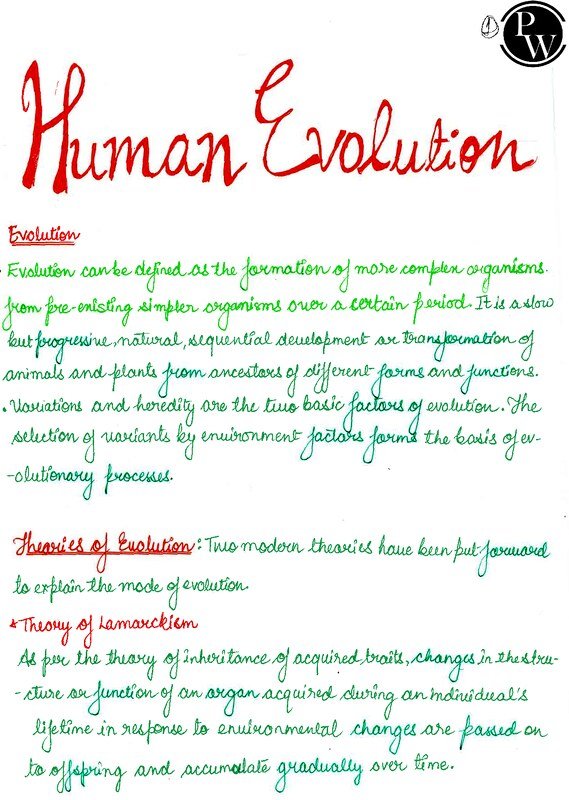 Thumbnail for Notes from physics wallah regarding human Evolution