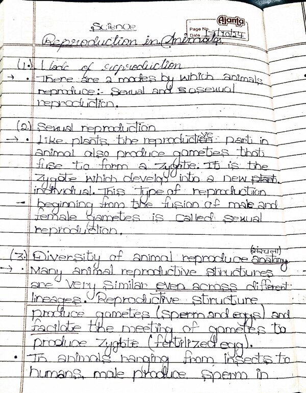 Thumbnail for Reproduction in Animals