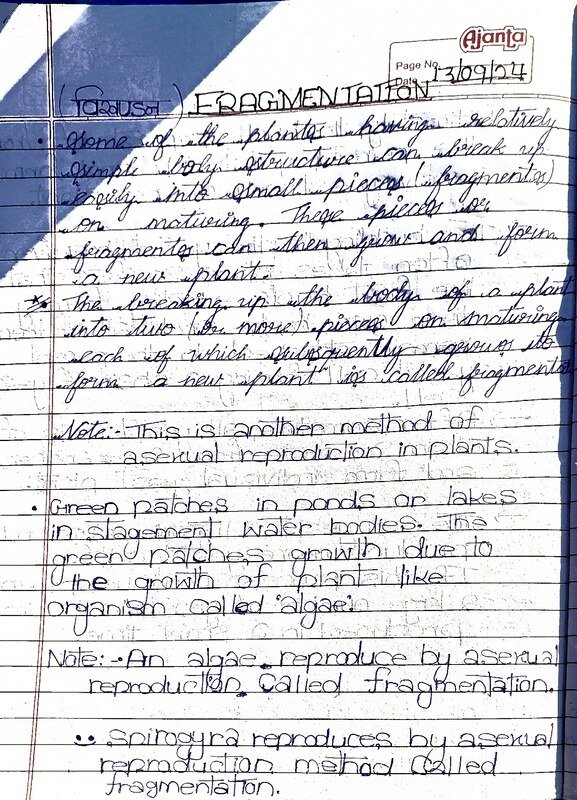 Thumbnail for Reproduction in Plants. Part-2