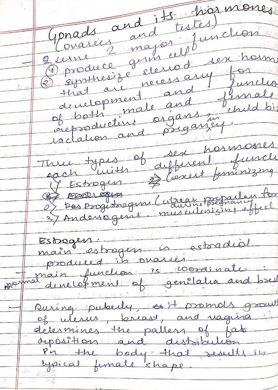 Thumbnail for Endocrine System and hormones- Part 2 (Gonads, thyroid, pancreas)