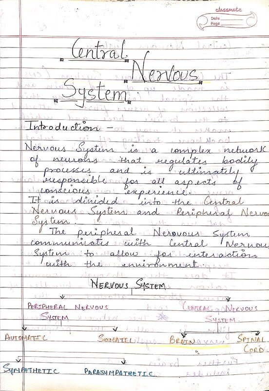 Thumbnail for Introduction to Central Nervous System - Brain Part 1
