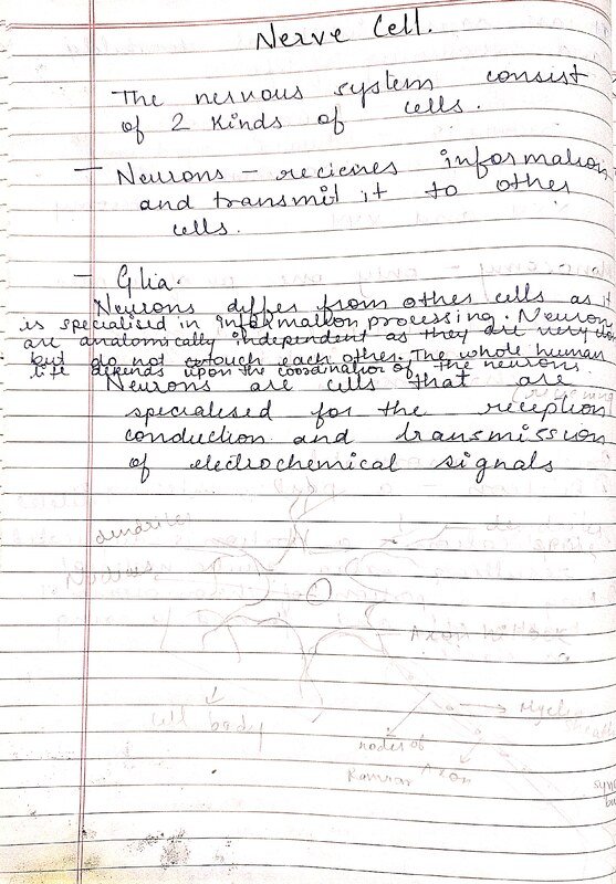 Nerve Cell, its types and Functions. Neuroplasticity and Neuropsychiatry