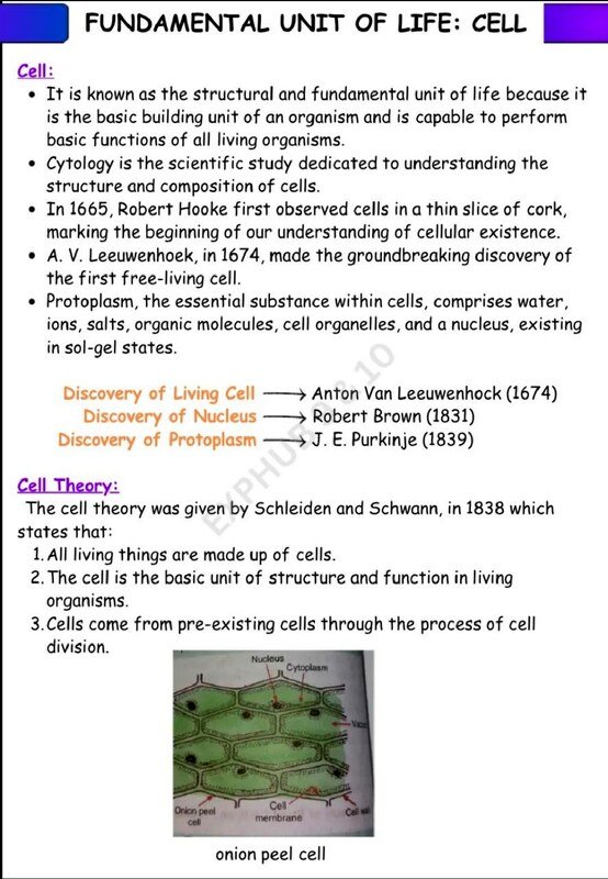 Thumbnail for Class 9 & 10 Biology Fundamental Unit Of Life Notes