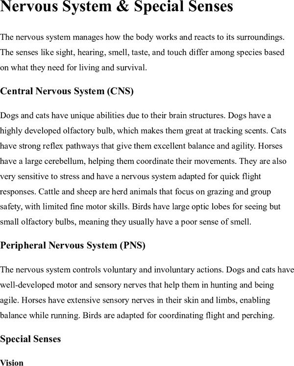 Thumbnail for Nervous System & Special Senses