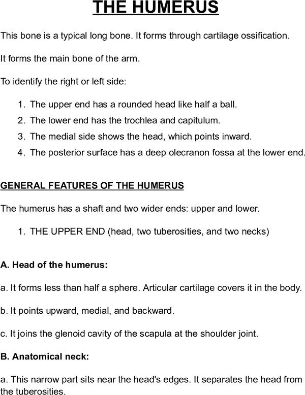 Thumbnail for THE HUMERUS