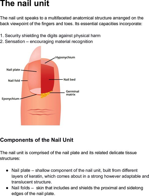Thumbnail for The nail unit