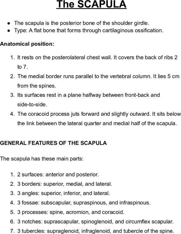 Thumbnail for The SCAPULA