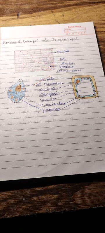 Science notes