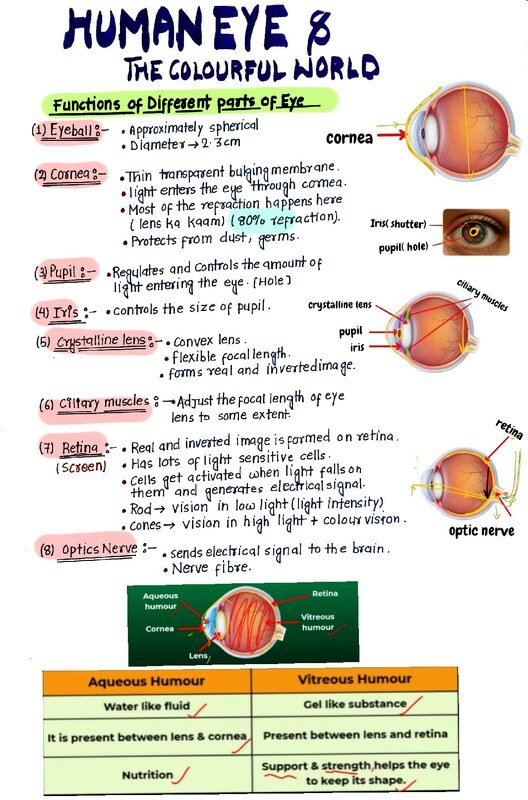 CLASS 10 CBSE/RBSE/ICSE