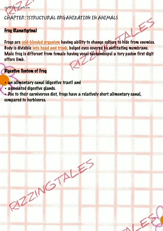 Thumbnail for Structural Organization in Animals