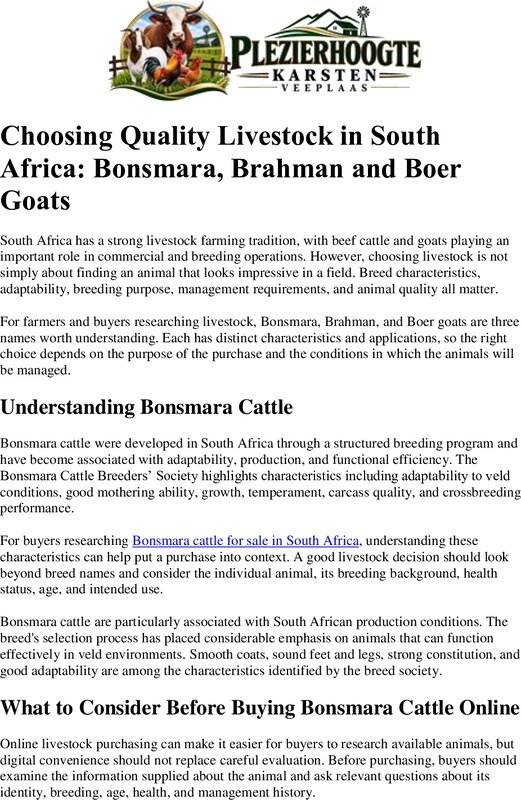 Bonsmara cattle for sale in South Africa