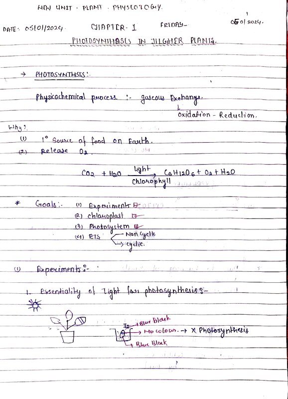 Thumbnail for PHOTOSYNTHESIS IN HIGHER PLANTS